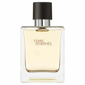 HERMÈS - Terre d'Hermès - Toaletní voda obraz