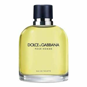 DOLCE & GABBANA - Pour Homme - Toaletní voda obraz