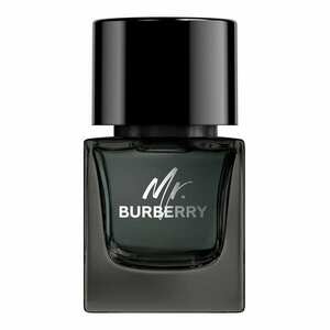 BURBERRY - Mr. Burberry - Parfémová voda obraz