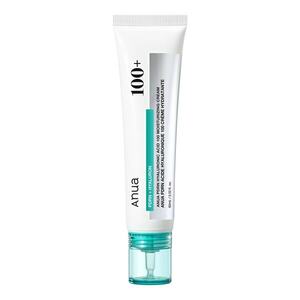ANUA THE FOUNDERS - PDRN Hyaluronic Acid 100 Moisture Cream - Lehký hydratační krém obraz