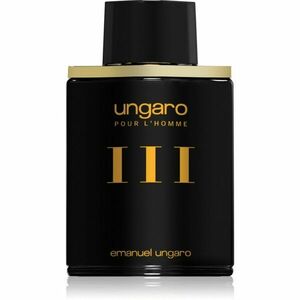 Emanuel Ungaro L'Homme III toaletní voda pro muže 100 ml obraz