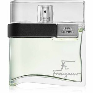 Salvatore Ferragamo Pour Homme Ferragamo toaletní voda pro muže 100 ml obraz