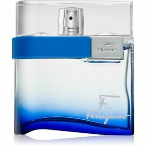Ferragamo F by Ferragamo Free Time toaletní voda pro muže 100 ml obraz