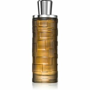 Al Haramain Mystique Homme parfémovaná voda pro muže 100 ml obraz