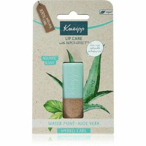 Kneipp Aloe Vera balzám na rty 4.7 g obraz