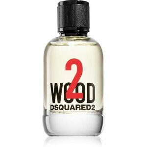 Dsquared2 2 wood toaletní voda pro muže 100 ml obraz