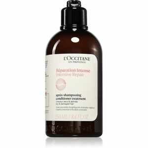 L’Occitane Intensive Repair Conditioner regenerační kondicionér pro suché a poškozené vlasy 250 ml obraz