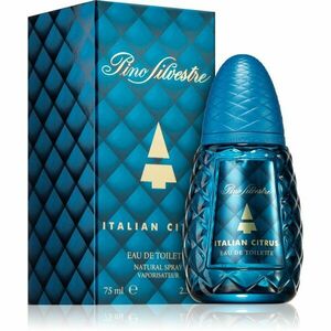 Pino Silvestre Italian Citrus toaletní voda pro muže 75 ml obraz