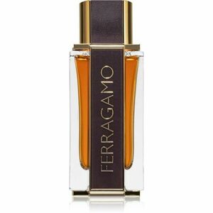 Ferragamo Ferragamo Spicy Leather parfémovaná voda pro muže 100 ml obraz