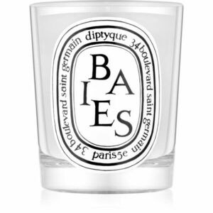 Diptyque Baies vonná svíčka 190 g obraz