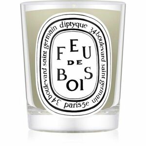 Diptyque Feu de Bois vonná svíčka 190 g obraz