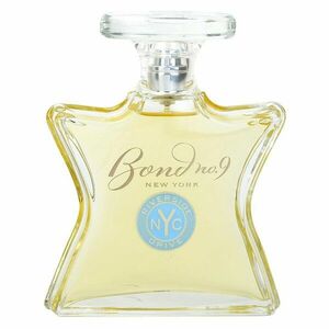 Bond No. 9 Uptown Riverside Drive parfémovaná voda pro muže 100 ml obraz