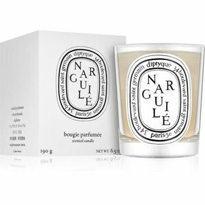 Diptyque Narguile vonná svíčka 190 g obraz