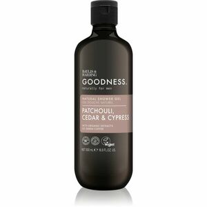 Baylis & Harding Goodness Patchouli, Cedar & Cypress sprchový gel pro muže 500 ml obraz