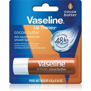 Vaseline Lip Care balzám na rty odstín Cocoa 4, 8 g obraz