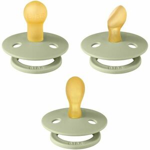 BIBS Try-It Size 1: 0+ months sada pro děti od narození Sage 3 ks obraz