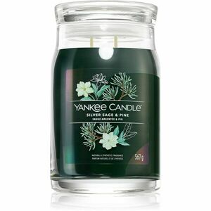 Yankee Candle Silver Sage & Pine vonná svíčka Signature 567 g obraz