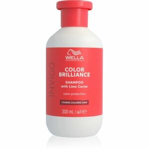 Wella Professionals Invigo Color Brilliance šampon pro normální až husté vlasy pro ochranu barvy 300 ml obraz