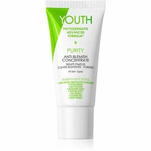 YOUTH Purity Anti-Blemish Concentrate lokální péče proti akné 20 ml obraz