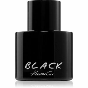 Kenneth Cole Black toaletní voda pro muže 100 ml obraz