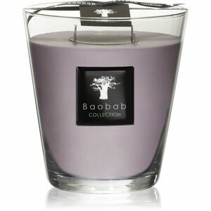 Baobab Collection All Seasons White Rhino vonná svíčka 1000 g obraz