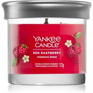 Yankee Candle Red Raspberry vonná svíčka 122 g obraz