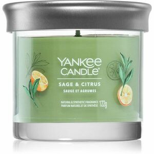 Yankee Candle Sage & Citrus vonná svíčka 122 g obraz
