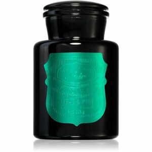 Paddywax Apothecary Noir Tabac & Pine vonná svíčka 226 g obraz