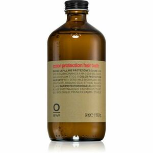 Oway ColorUp Hair Bath šampon pro barvené a melírované vlasy 240 ml obraz