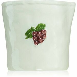 Paddywax Bistro Bordeaux Grape vonná svíčka 226 g obraz