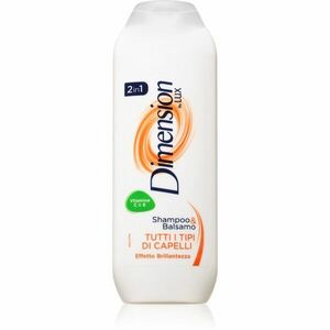 Dimension by Lux 2in1 šampon a kondicionér 2 v 1 pro všechny typy vlasů 250 ml obraz