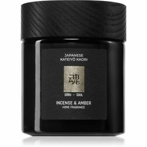 Vila Hermanos Apothecary Japanese Soul vonná svíčka 150 g obraz