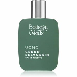 Bottega Verde Cedro Selvaggio toaletní voda pro muže 50 ml obraz