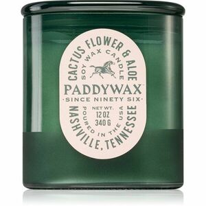 Paddywax Vista Cactus Flower & Aloe vonná svíčka 340 g obraz