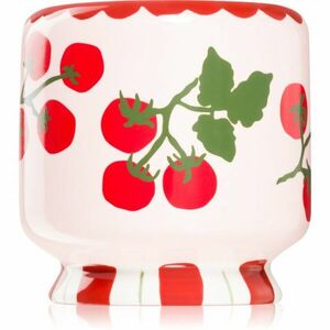 Paddywax A Dopo Tomato Vine vonná svíčka 226 g obraz