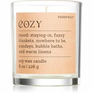 Paddywax Mood Cozy Cashmere & French Orris vonná svíčka 226 g obraz