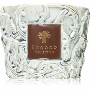 Baobab Collection Brame Sylvanus vonná svíčka 500 g obraz