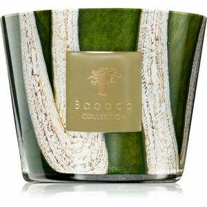 Baobab Collection Woods Sherwood vonná svíčka 500 g obraz
