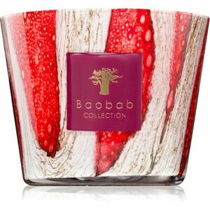 Baobab Collection Woods Risoud vonná svíčka 500 g obraz
