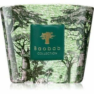 Baobab Collection Sacred Trees Touba vonná svíčka 500 g obraz