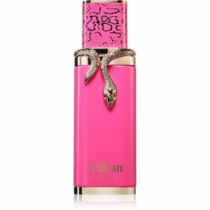 French Avenue Vulcan Baie parfémovaná voda unisex 100 ml obraz