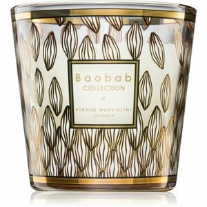 Baobab Collection Pierre Marcolini vonná svíčka 190 g obraz