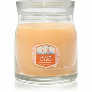 Yankee Candle Slopeside Spritz vonná svíčka Signature 368 g obraz