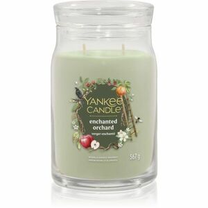Yankee Candle Enchanted Orchard vonná svíčka Signature 567 g obraz