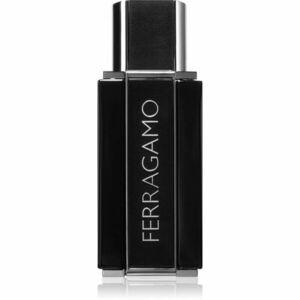 Ferragamo Sublime Leather parfémovaná voda pro muže 50 ml obraz