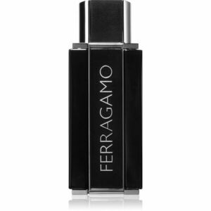 Ferragamo Sublime Leather parfémovaná voda pro muže 100 ml obraz