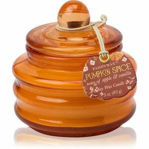 Paddywax Pumpkin Spice vonná svíčka 58 g obraz