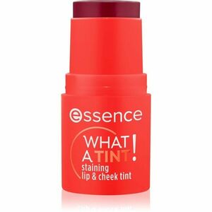 essence WHAT A TINT! multifunkční líčidlo na rty a tváře odstín 20 Grapefruit Bliss 5 g obraz