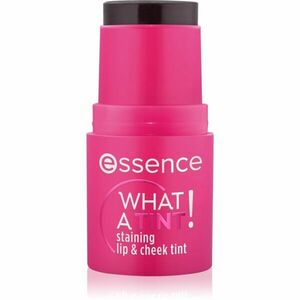 essence WHAT A TINT! multifunkční líčidlo na rty a tváře odstín 10 Raspberry Vibes 5 g obraz