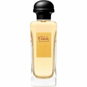 HERMÈS Calèche toaletní voda pro ženy 100 ml obraz